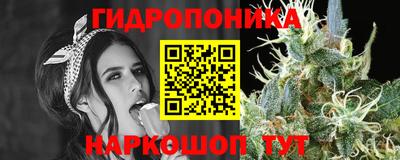 apvp Пугачёв