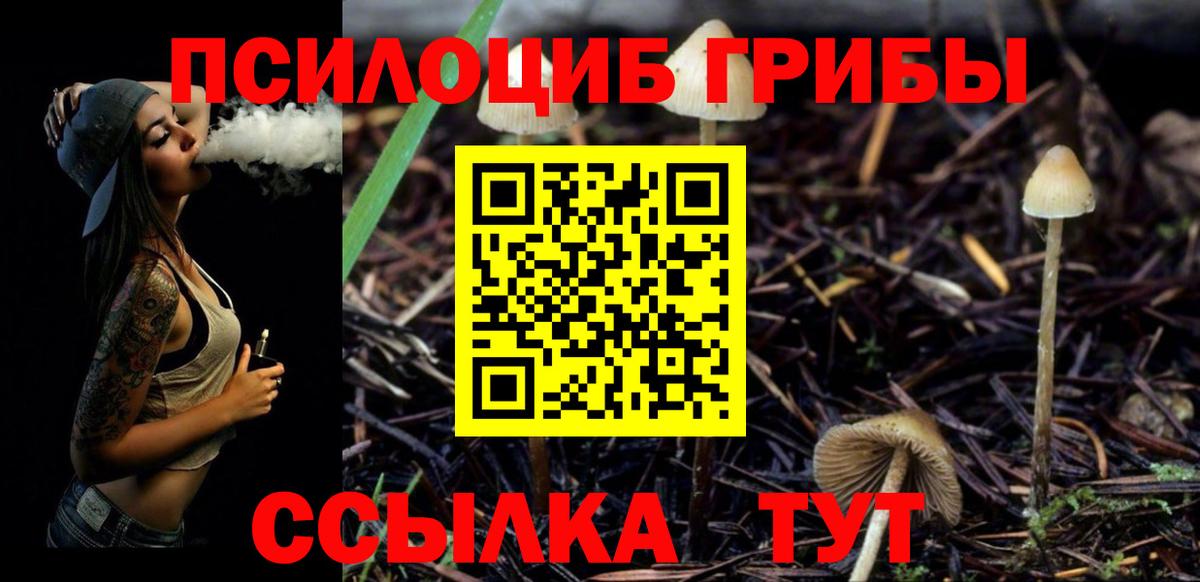 Псилоцибиновые грибы прущие грибы  Вход с VPN  Сарапул 